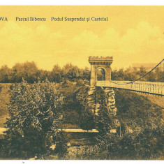 5392 - CRAIOVA, Bibescu Park, Romania - old postcard - unused - 1917