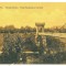 5392 - CRAIOVA, Bibescu Park, Romania - old postcard - unused - 1917