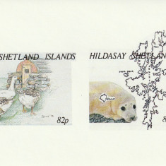 Hildasay Shetland -Fauna, Pasari, bloc nedantelat 2 valori,MNH