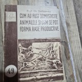 Carte Gh. Stefanescu - Cum au fost domesticite animalele si formarea raselor potrivite - Coperta Brosata