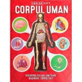 Corpul Uman &ndash; model 3D