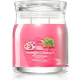 Yankee Candle Art In The Park lum&acirc;nare parfumată Signature 368 g