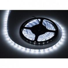 BANDA LED 5M IP20 ALB RECE EuroGoods Quality foto