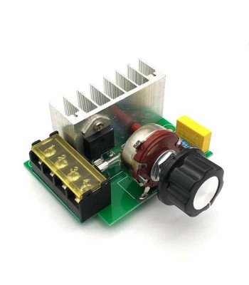 Dimmer de tensiune 220V 4000W foto