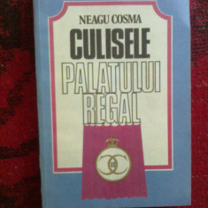 e3 CULISELE PALATULUI REGAL - NEAGU COSMA