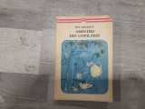 Amintiri din copilarie de Ion Creanga