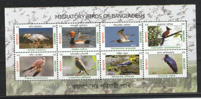 Fauna pasari migratoare,Banglades .
