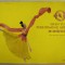 SHEN YUN PERFORMING ARTS , 2015
