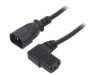 Cablu IEC C13-C14 1m Negru 10A