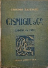 Cismigiu &amp;amp; Comp. Amintiri din liceu &amp;ndash; Grigore Bajenaru foto