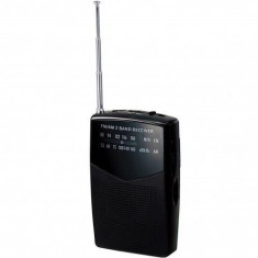 Radio portabil BPR30 Bluesky, Negru foto