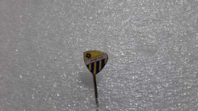 insigna FC Maramures Baia Mare foto