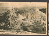 CPIB 19222 CARTE POSTALA - MUNTII BUCEGI, CABANA DIHAM, LIBRARIA NOASTRA, 1955