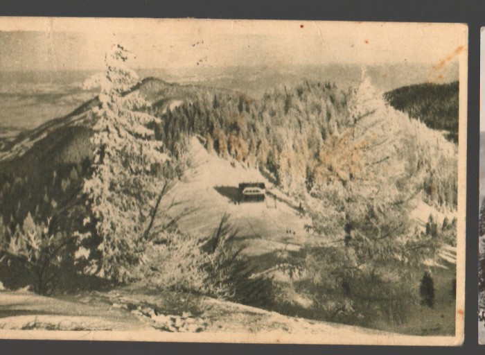 CPIB 19222 CARTE POSTALA - MUNTII BUCEGI, CABANA DIHAM, LIBRARIA NOASTRA, 1955