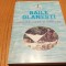 BAILE OLANESTI - Ghid Balbear si Turistic - Ion Popescu, N. Gorgan - 2002, 394 p