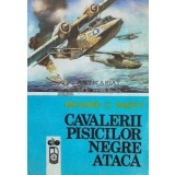 Cavalerii pisicilor negre ataca - 1990 - Richard C. Knott (Q37)