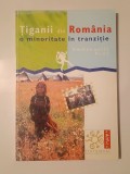 Emmanuelle Pons - Țiganii din Rom&acirc;nia: o minoritate &icirc;n tranziție