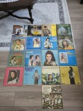 Lot discuri vinil cu muzica populara