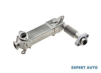 Radiator recirculare gaze BMW X3 (2004-&amp;gt;) [E83] #1 foto