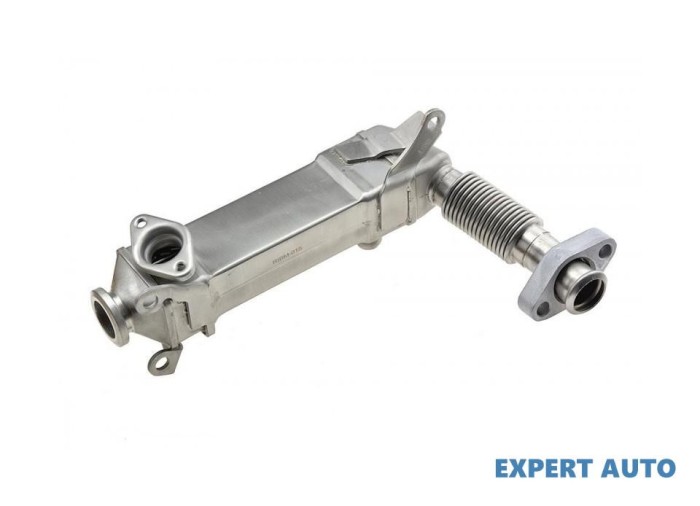Radiator recirculare gaze BMW X3 (2004-&gt;) [E83] #1