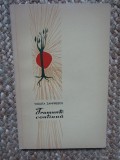 Frumusete continua &ndash; Violeta Zamfirescu