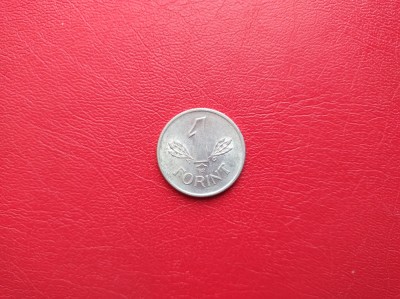 UNGARIA - 1 FORINT 1989 foto