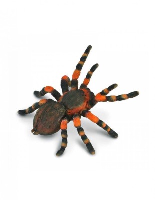 Figurina Tarantula Me-icana cu genunchi rosii foto