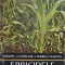 ERBICIDELE-N. SARPE, AT. CIORLAUS, L. GHINEA, I. VLADUTU-220932