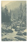 5790 - BALEA WATERFALL, Sibiu, mountain stream, Romania - old postcard, CENSOR - used - 1918