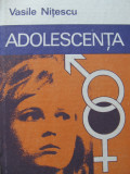 Adolescenta - Vasile Nitescu