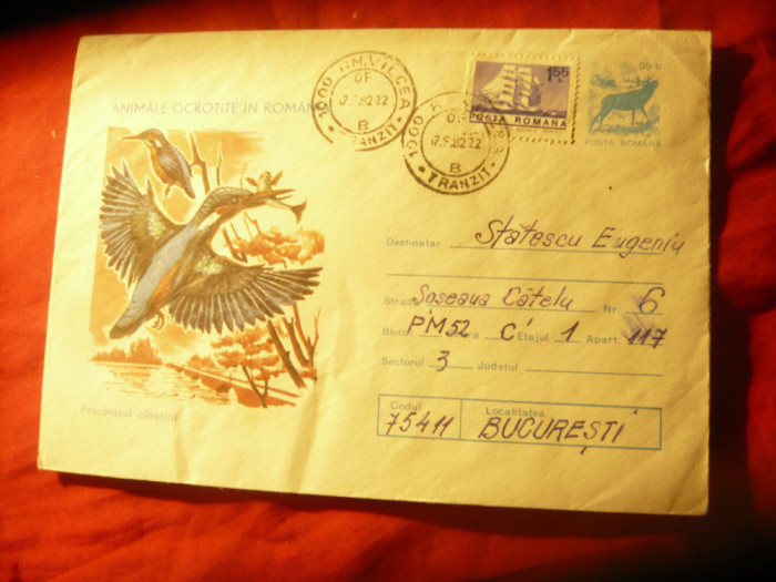 Plic ilustrat - Animale Ocrotite - Pescarusul Albastru cod 87/77