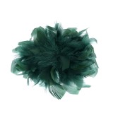 Brosa verde cu pene