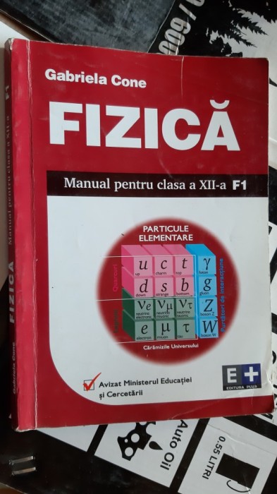 FIZICA F1 CLASA A XII A - PARTICULE ELEMENTARE , GABRIELA CONE , EDITURA e +