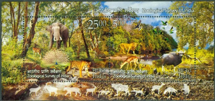 !!! INDIA - ZOOLOGICAL SURVEY , 2015 , BLOC NEUZAT / FAUNA