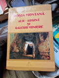 Valentin Rus - Rosia Montana - Aur-Argint si Galerii Miniere