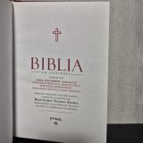 Bartolomeu Valeriu Anania (versiune diortosită, redactată și adnotată) - Biblia cu ilustrații &ndash; Volumul VIII