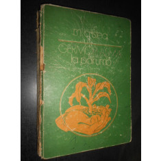 M. Cristea - Germoplasma la porumb (1975, editie cartonata uzata)