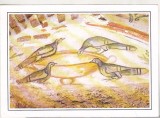 bnk cp Constanta - Muzeul de arheologie - Cavoul-Hypogeu de la Tomis - necirculata