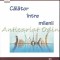 Calator Intre Milenii - Ostin C. Mungiu