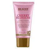 Balsam Cherry Blossom Beaver 40 ml