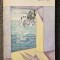 SPRE FAR - Virginia Woolf (BPT)