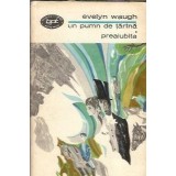 Un pumn de tarana. Preaiubita - Evelyn Waugh