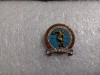 Insigna Al 4 lea Festival mondial al tineretului Bucuresti1953