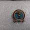 Insigna Al 4 lea Festival mondial al tineretului Bucuresti1953
