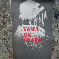 Vama de ceata - Monica Muresan