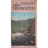 VALEA DAMBOVITEI (CONTINE HARTA)-ION POPESCU ARGESEL-251051