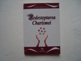 Redesteptarea charismei - German Snchez Griese