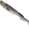 Swimbait Berkley Powerbait Power Sardine, Real Sardine, 40g, 15cm, 3buc/pac