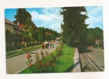 RF61 -Carte Postala- Olanesti, Aleea Trandafirilor, circulata 1978