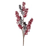 Ramura de Craciun cu Pomusoare Rosii Ninse 75cm